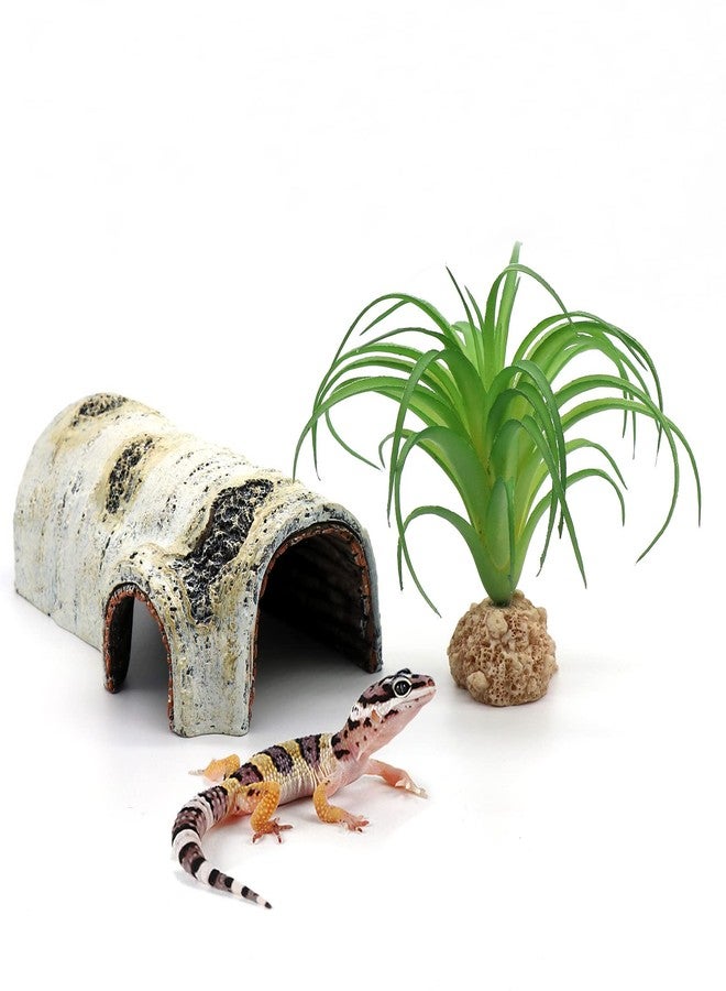 relaqcc Reptile Hides and Caves Birch Tree Bark Trunk Habitats Decor Aquarium Decoration Wood for Lizard Geckos Snake Spiders Frogs Turtle (Small) - Image 1